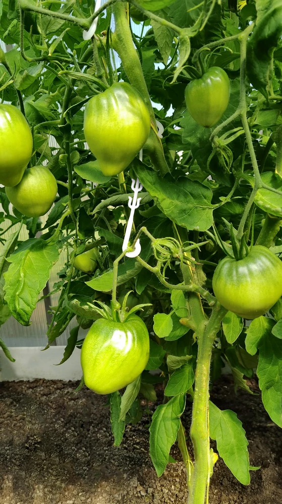 Кистедержатель